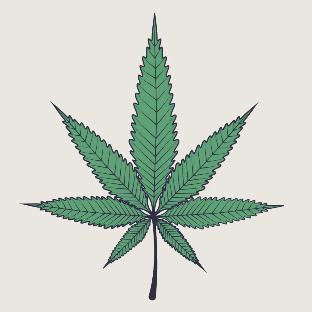 Cannabis