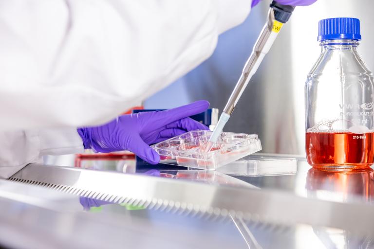 Gezonde darmen en ziekte van Parkinson: helpen supplementen?  